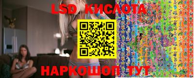 шишки Краснодар