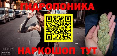 шишки Краснодар
