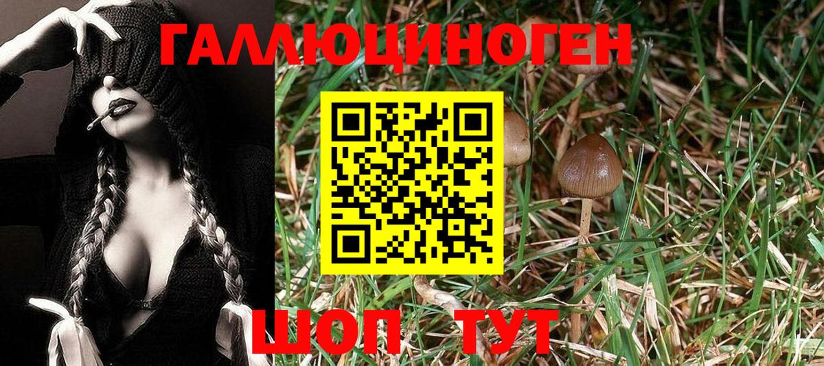 Златоуст  Галлюциногенные грибы Psilocybine cubensis  Вход с VPN 